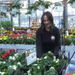 Spring gardening in Central New York: How nurseries are preparing as temperatures warm