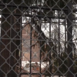 Fire-damaged Maria Regina site could become affordable housing