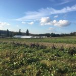 Central New York’s “Climate Haven” status tested by severe drought