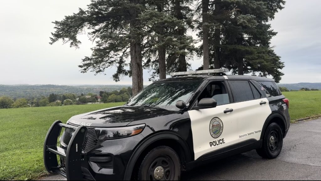 Police car parked in a park.