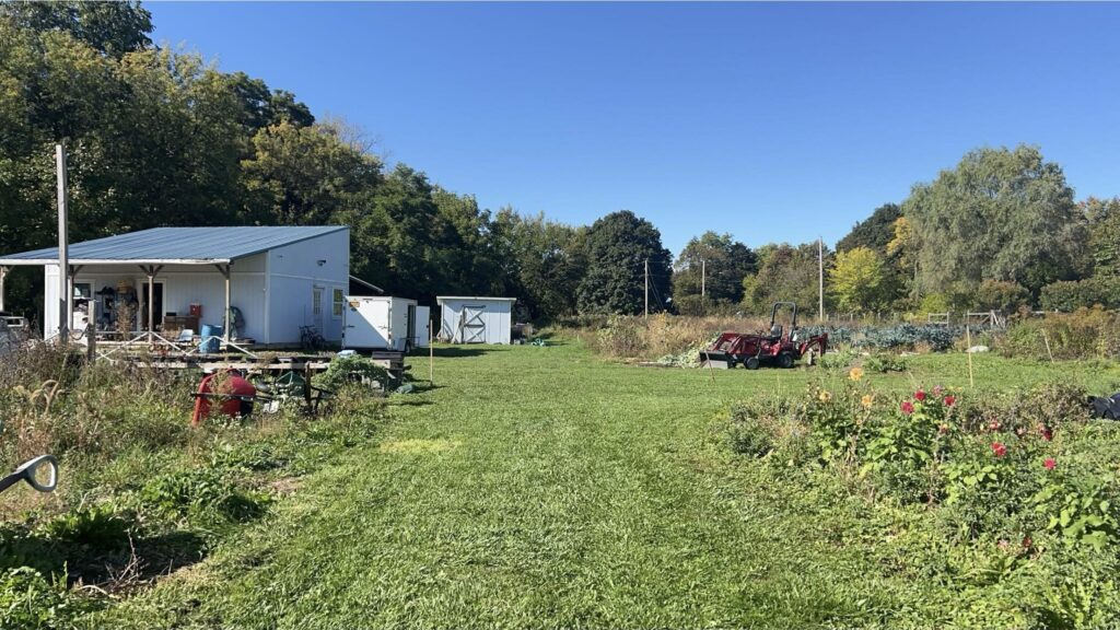 A farm in Syracuse with lots of flowers and natural weeds in front of a shed and red tractor.