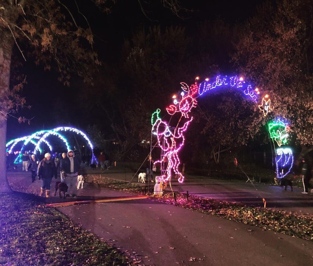 Picture of last year's Lights on the Lake.