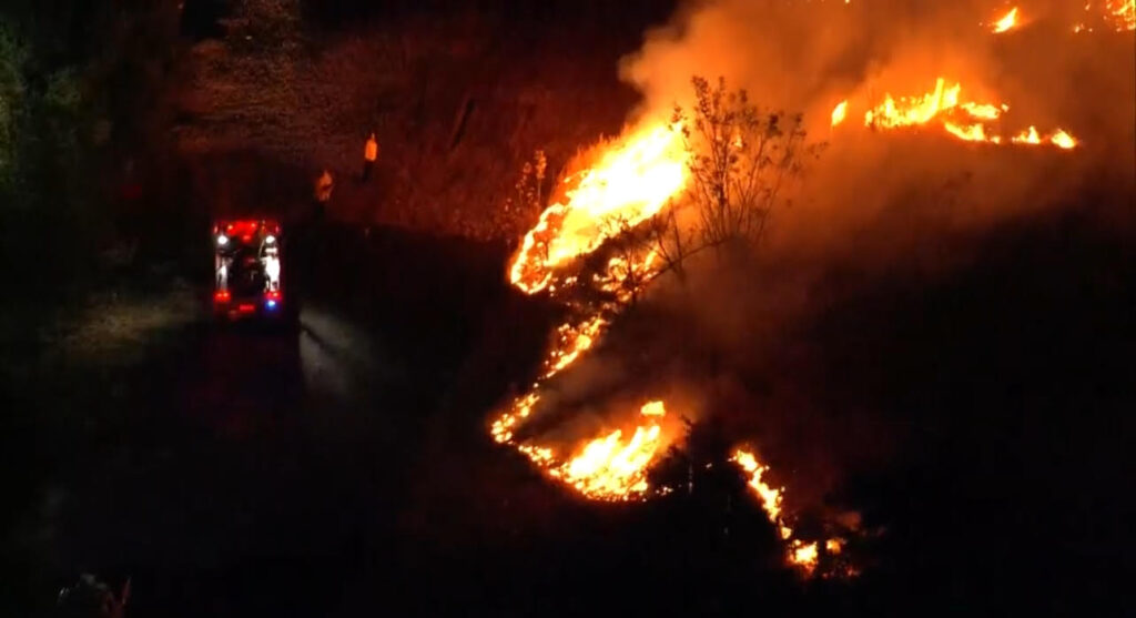 Wildfire burns in a field.