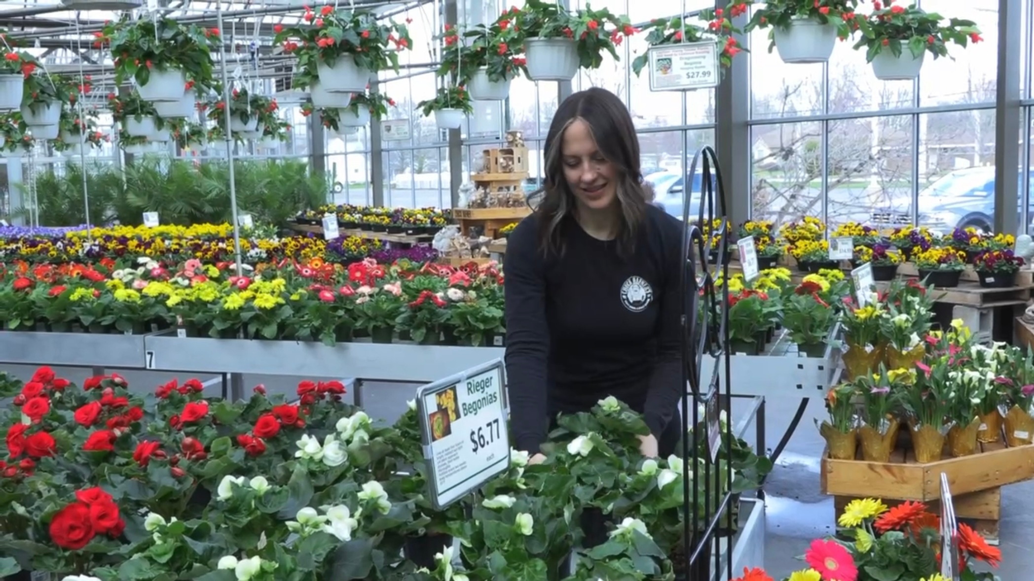 Gennissa Hart, general manager at Chuck Hafner’s, checks on rows of flowers as the nursery prepares for spring.