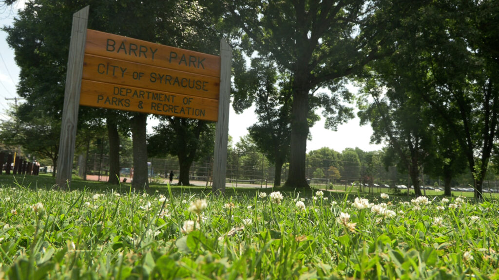 Barry Park in Syracuse a spot where children love to go when its warm outside, but a perfect breeding ground for ticks.@ 2025 Geraldine Paglia