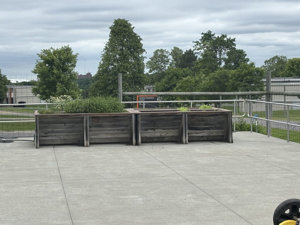 A brown garden bed in the corner in front of a fence at Pete's Giving Garden
