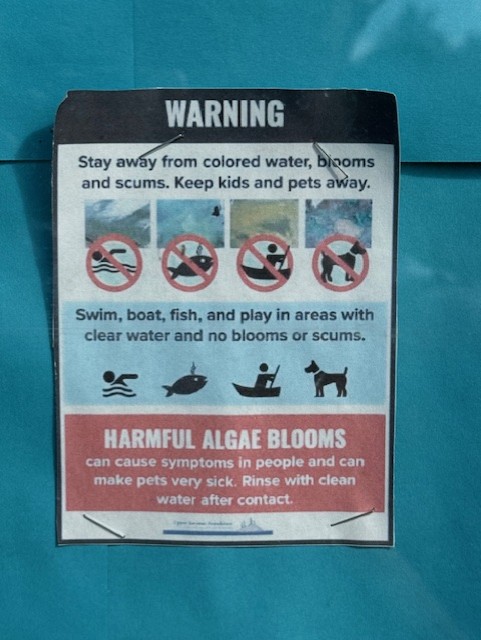 Close up algae warning poster