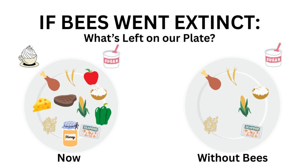graphic showing the few foods we would still have if bees went extinct