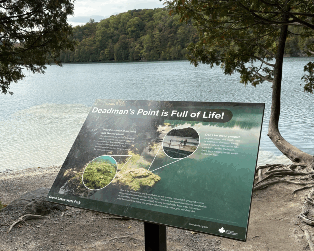 Sign of Deadman's Point is displayed near the reef, explaining to visitors why they shouldn't walk on the reef. Photo by Janice Ha