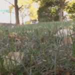 The importance of fire prevention amid New York’s drought