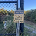 South Campus hives promote bee sustainability 
