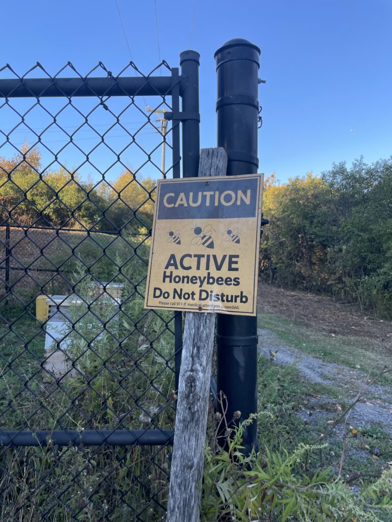 A sign on South Campus at the hives that reads "Caution. Active Honeybees. Do Not Disturb"