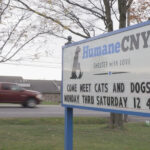 HumaneCNY’s ‘Doggy Day Out’ helping more than just pups