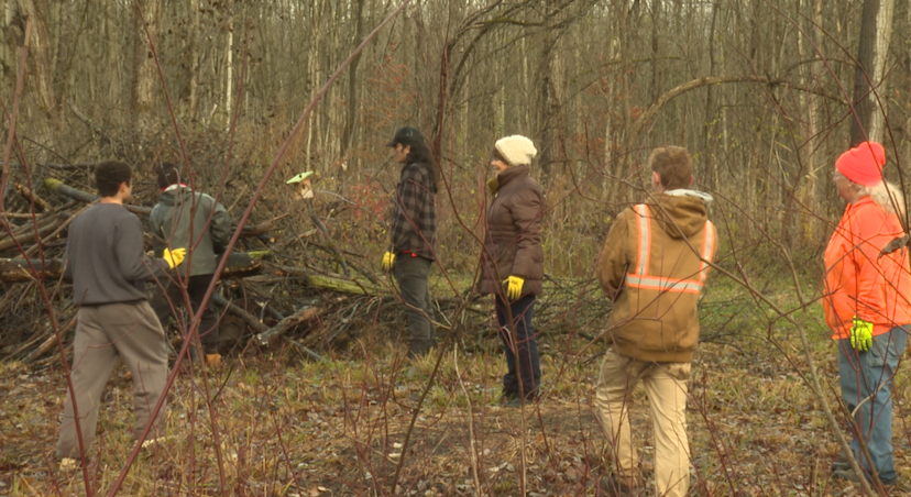 Volunteers gathering sticks at Service Learning Day.