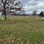 The competitive process to be the Lights on the Lake charity