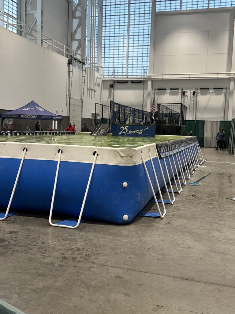 Dock Dogs competition platform and pool for the dogs who are competing