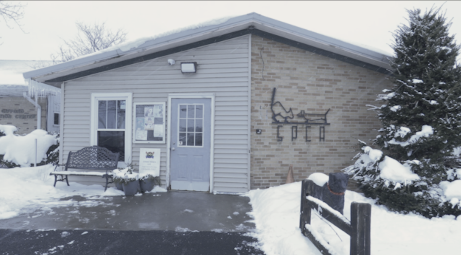 The outside of the CNY SPCA conditions during a snowy early February day.