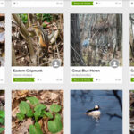 A Beaver Lake workshop blends nature and technology to build community