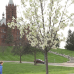 Weather Whiplash and Mood Swings as Temps Swing Wildly