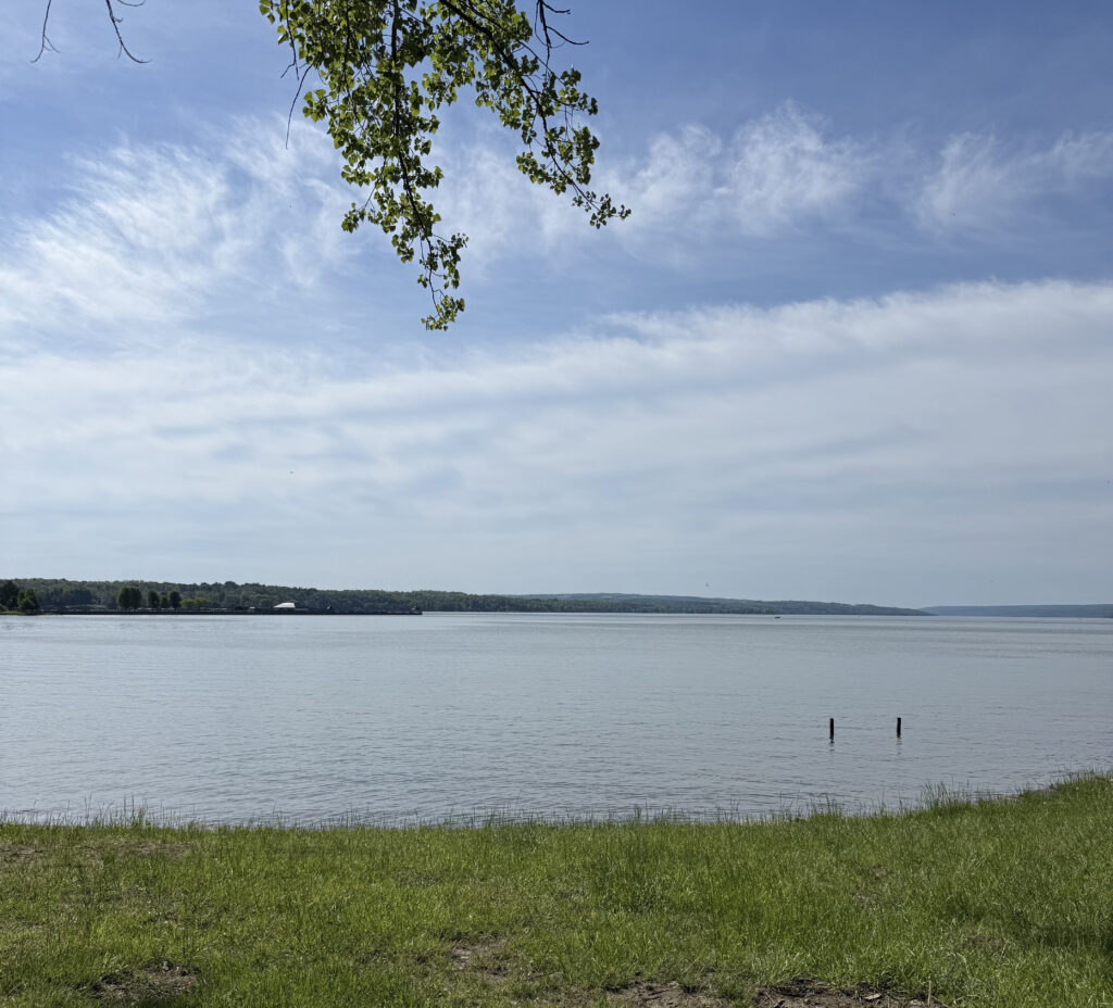 An overview of Owasco Lake during the daytime.