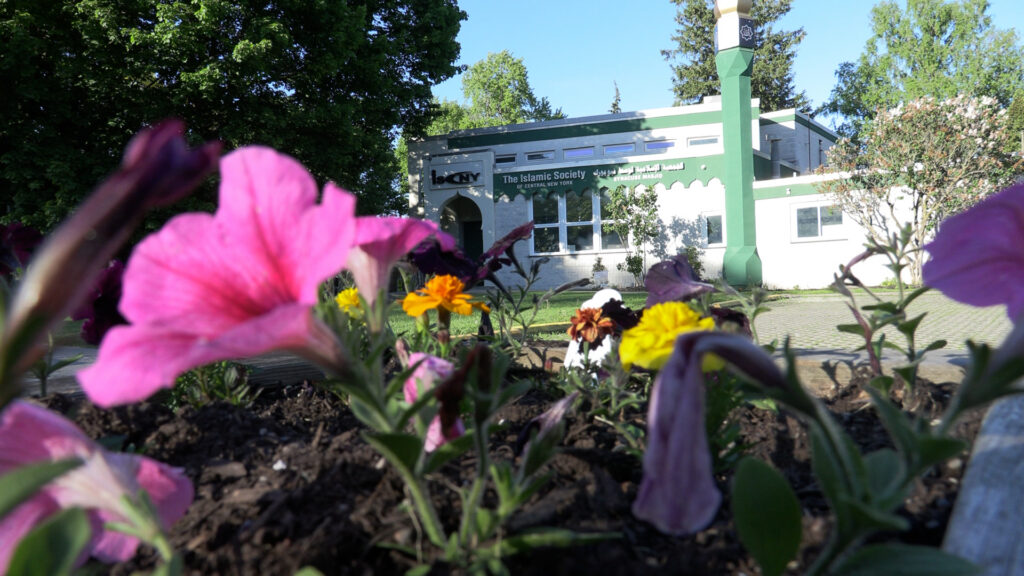 Flowers in foreground in front of building