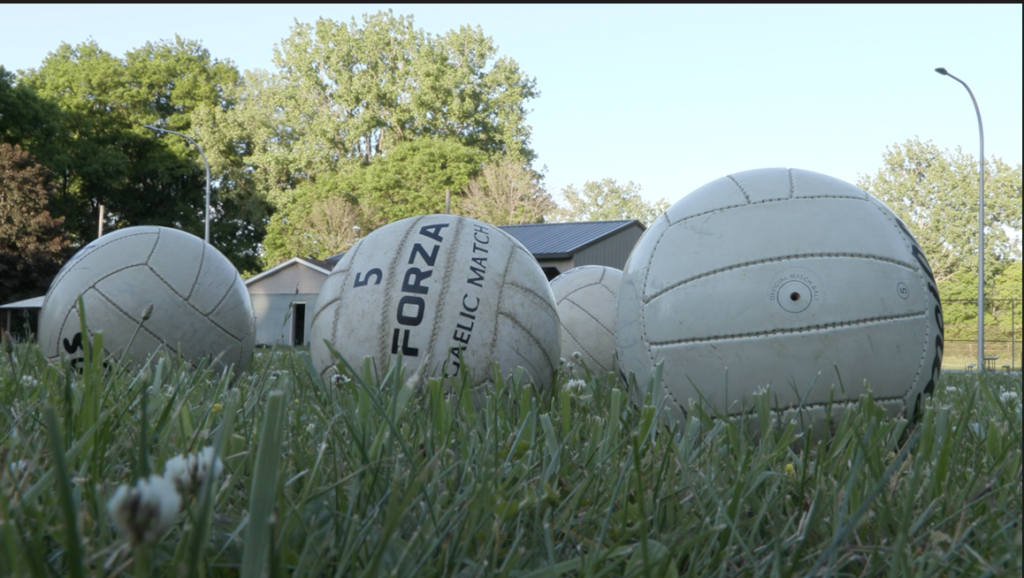 Forza brand Gaelic football balls