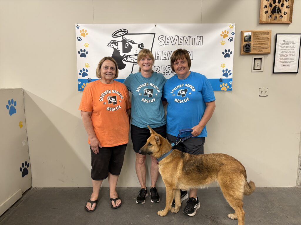 Three volunteers smile while posing with Nikki, a dog rescued from a hoarding situation, at Seventh Heaven Rescue.