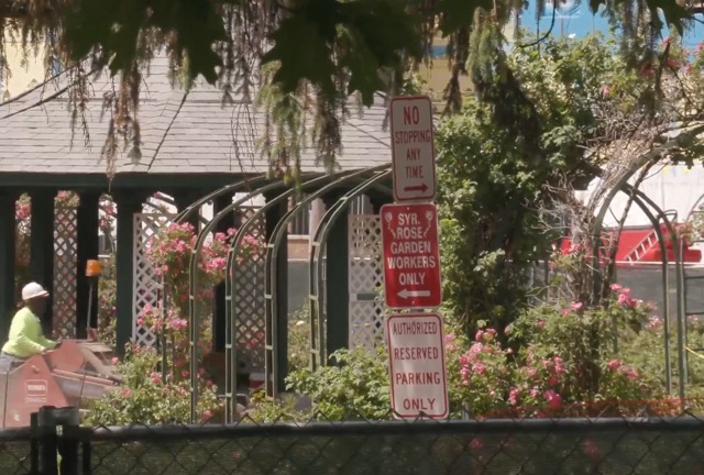 Rose bushes and garden structures are visible behind fencing and signs at the Mills Rose Garden during an accessibility improvement project.
