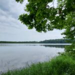 An Onondaga County park gets the community involved in  invasive plant removal