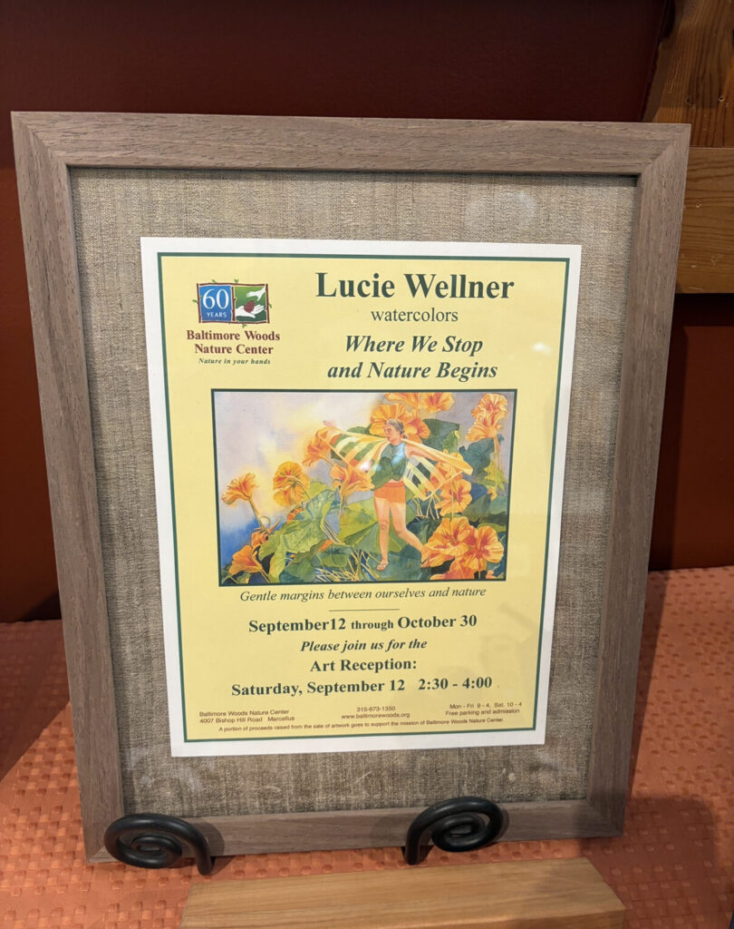 Program for Lucie Wellner Exhibit