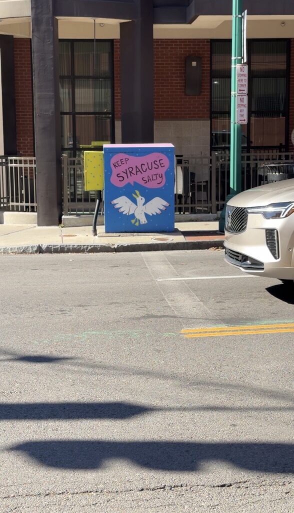 Utility box painted on South Franklin Street