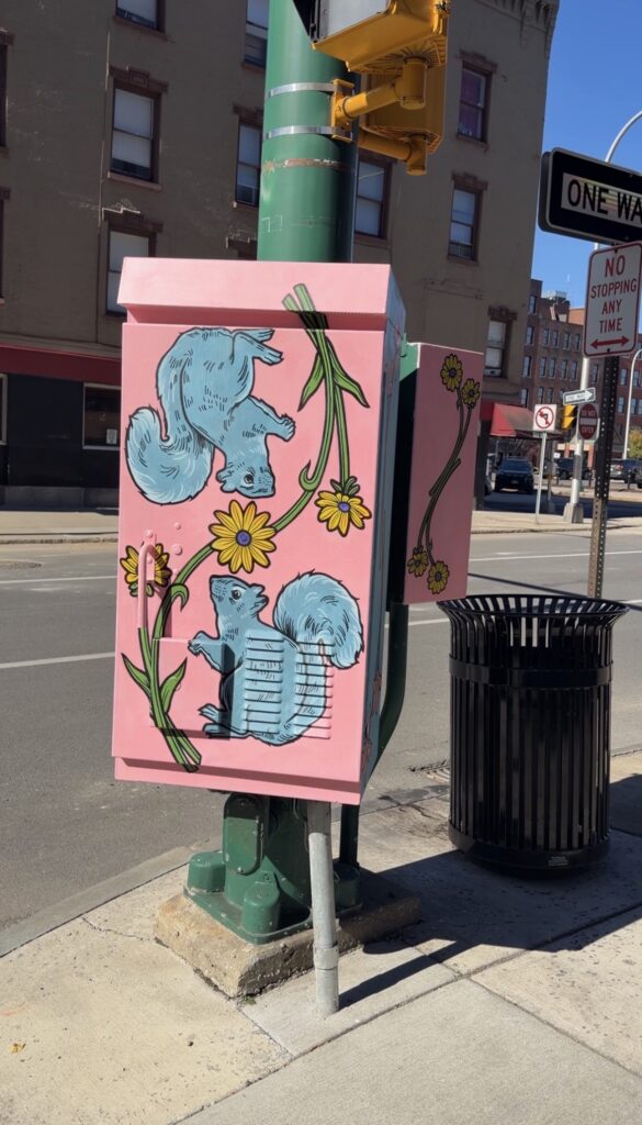 Painted utility box on South Warren street