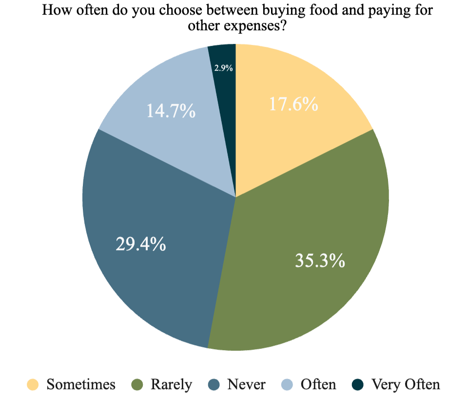 Chart food over other expenses